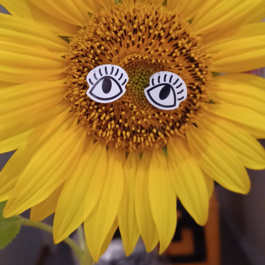 Sonnenblume mit aufgeklebten Augen, die humorvoll wirken.