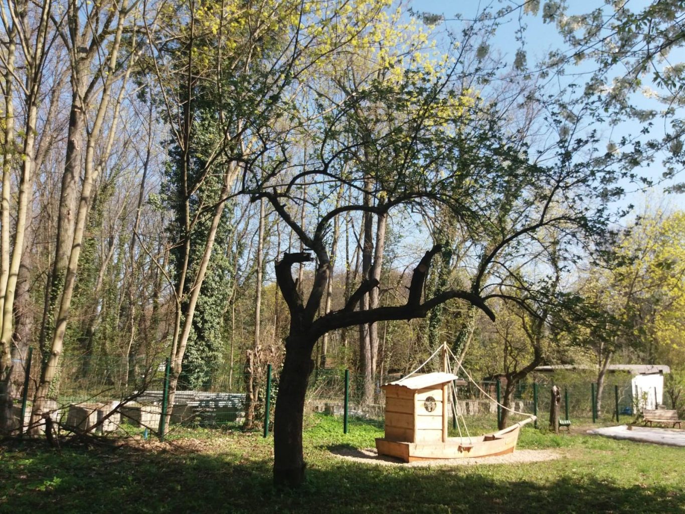 Ein Baum in einem Grünbereich mit einem kleinen Holzboot im Hintergrund.