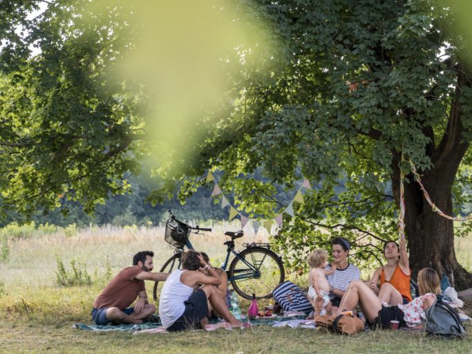 Gruppe von Menschen, die unter einem Baum sitzen und sich entspannen, mit einem Fahrrad in der Nähe.
